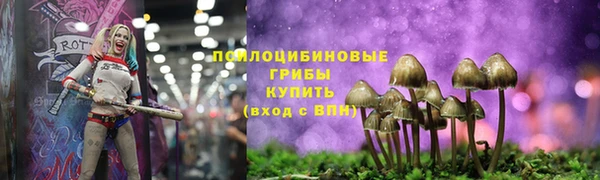 не бодяженный Алексин