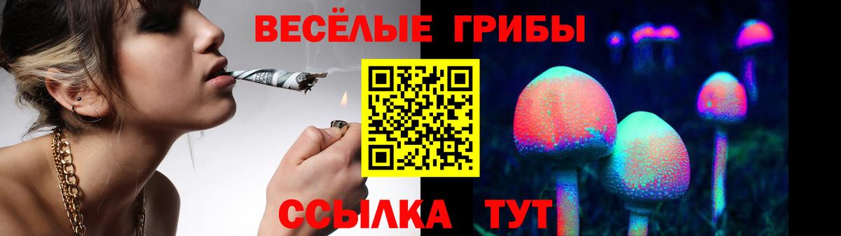 Галлюциногенные грибы Cubensis  Вход с VPN  Псилоцибиновые грибы Magic Shrooms  купить наркотик  Ростов-на-Дону 