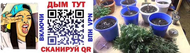 магазин продажи наркотиков Ростов-на-Дону Каннабис тримм